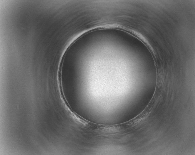 X0000052550959200507152156