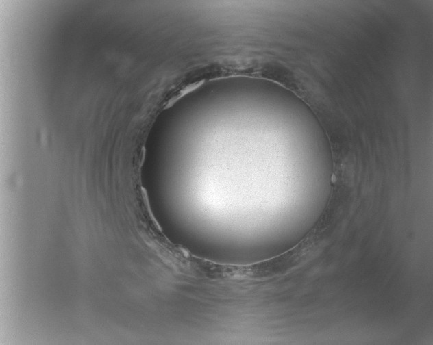 X0000052550961200507152155