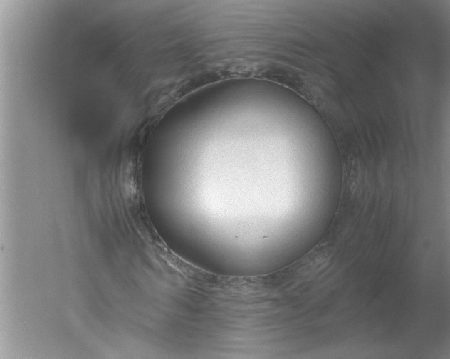 X0000052550962200507152155