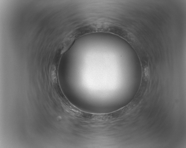 X0000052550963200507152155