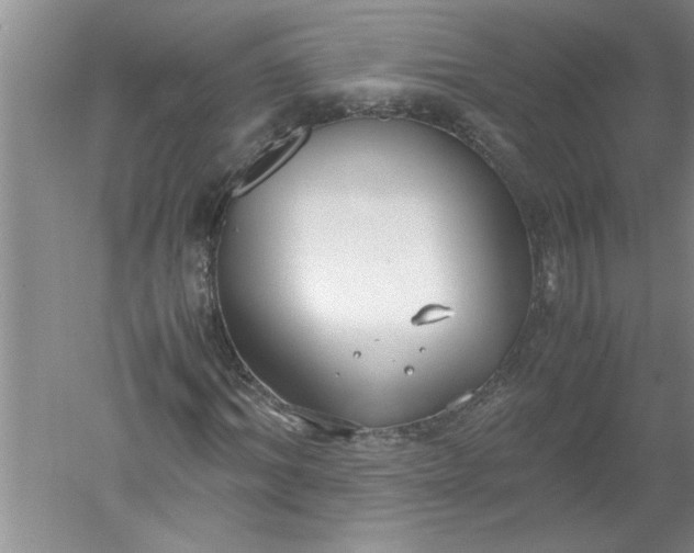 X0000052550964200507152155