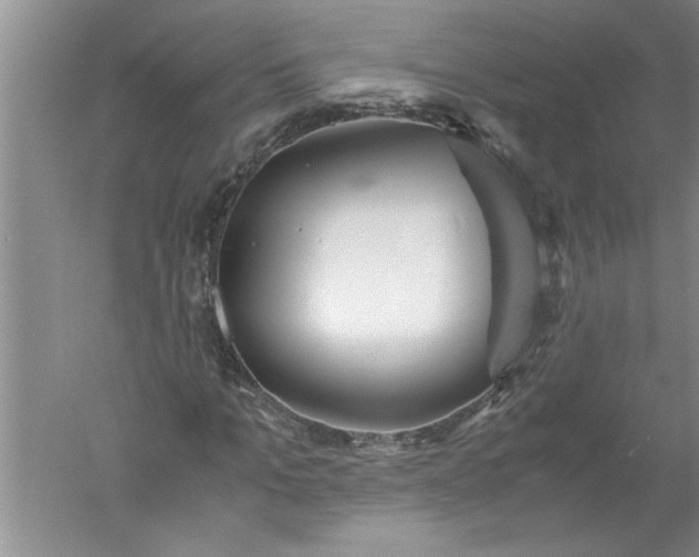 X0000052550965200507152155