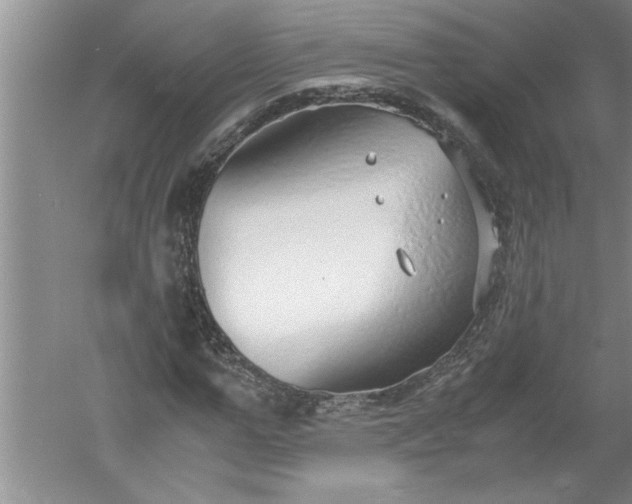 X0000052550967200507152155