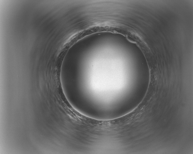 X0000052550968200507152155