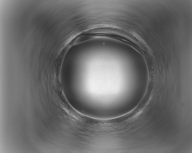 X0000052550969200507152155