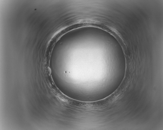 X0000052550971200507152155