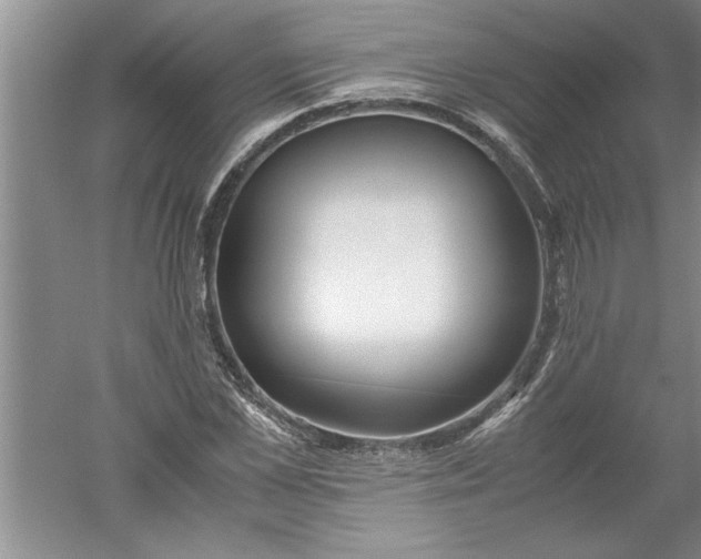 X0000052550973200507152155