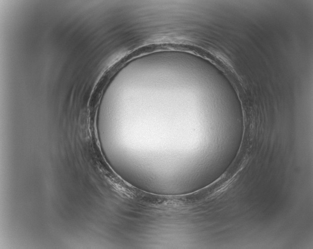 X0000052550974200507152155