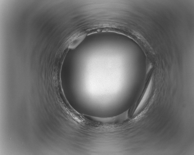 X0000052550977200507152155