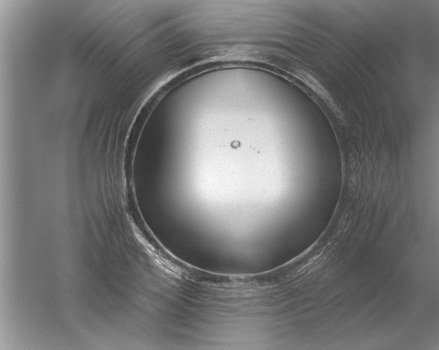 X0000052550980200507152155