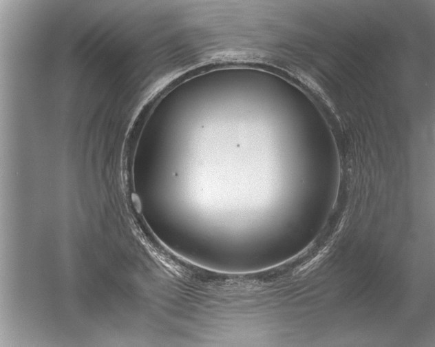 X0000052550981200507152155