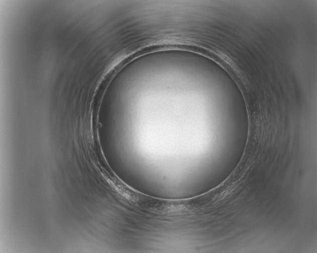 X0000052550982200507152155