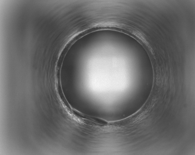 X0000052550984200507152155