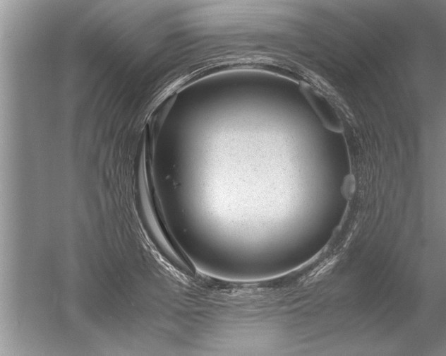 X0000052550985200507152155