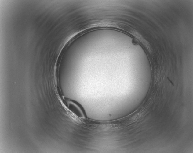 X0000052550988200507152155