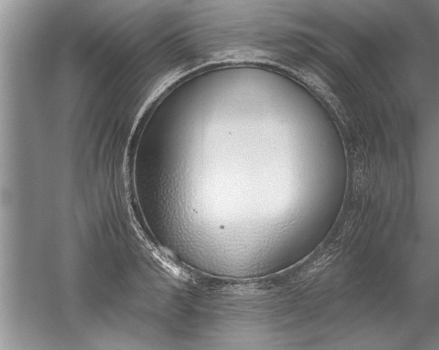 X0000052550990200507152155