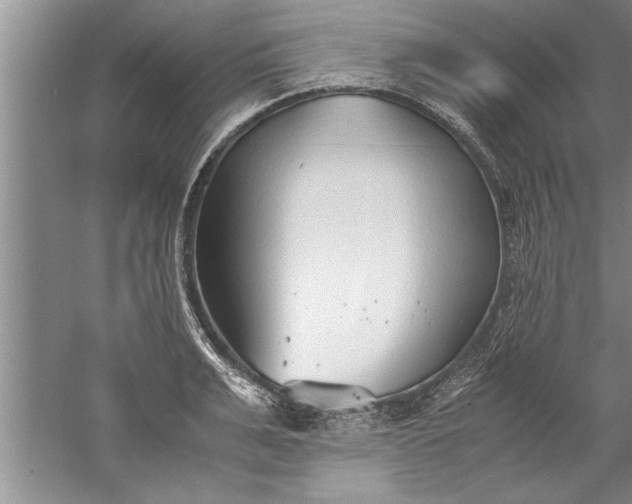 X0000052550991200507152155