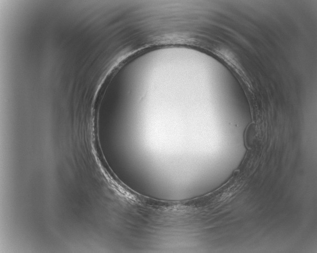 X0000052550992200507152155