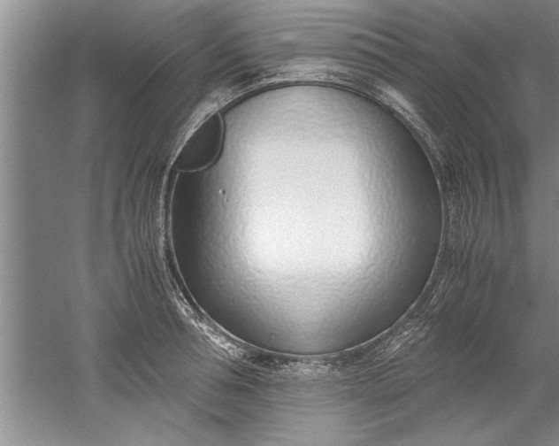 X0000052550994200507152155