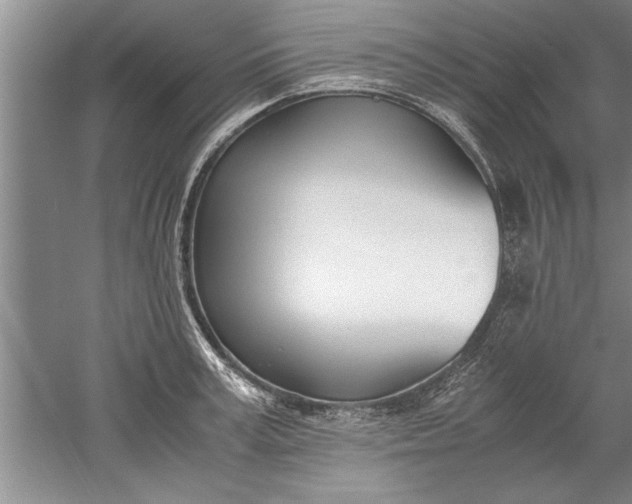 X0000052550995200507152155