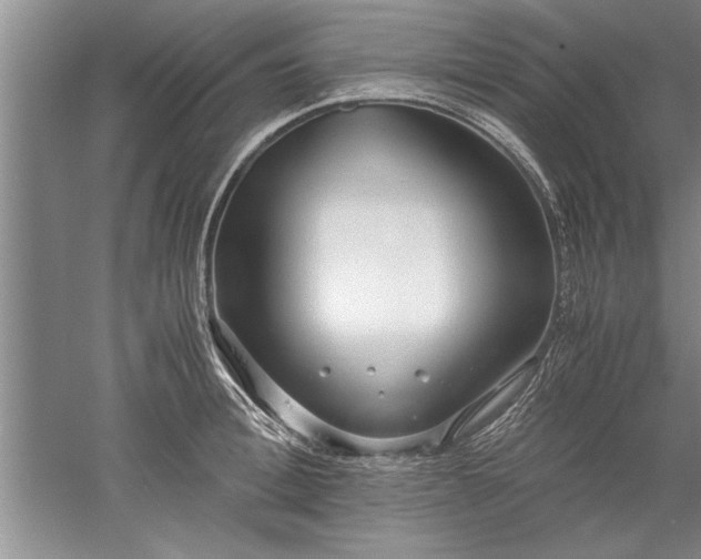 X0000052550996200507152155