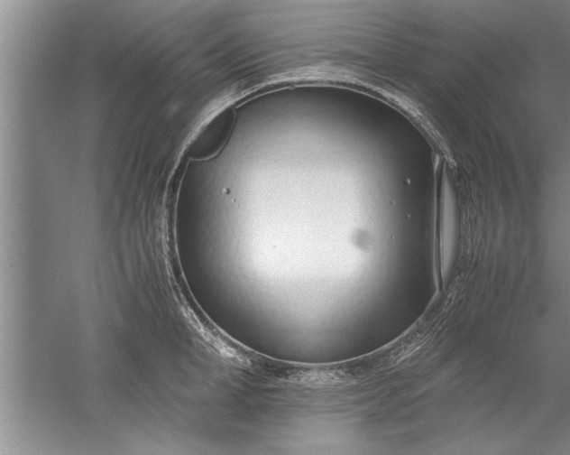 X0000052550998200507152155