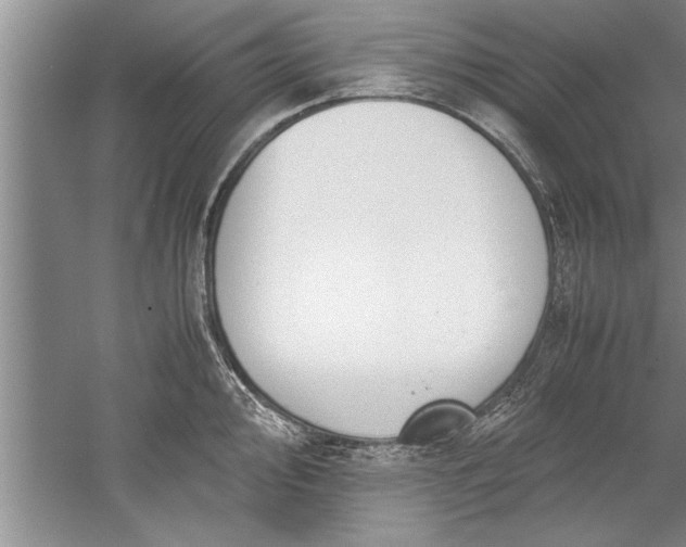 X0000052551000200507152155