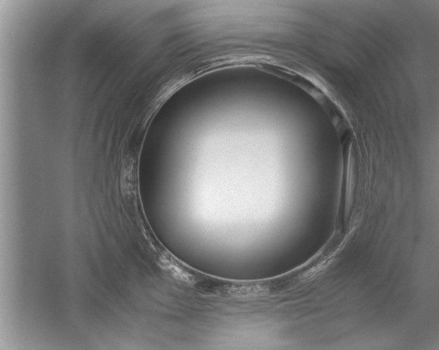 X0000052551001200507152155