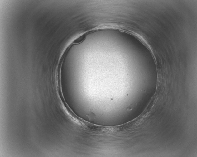 X0000052551003200507152155