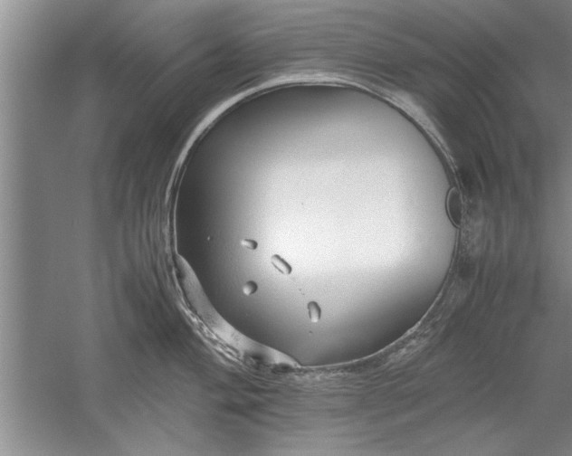 X0000052551004200507152155