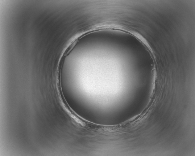 X0000052551005200507152155