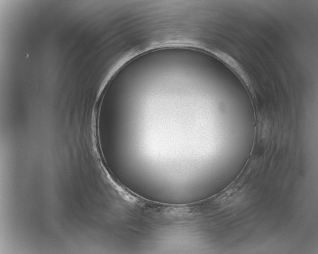 X0000052551006200507152155