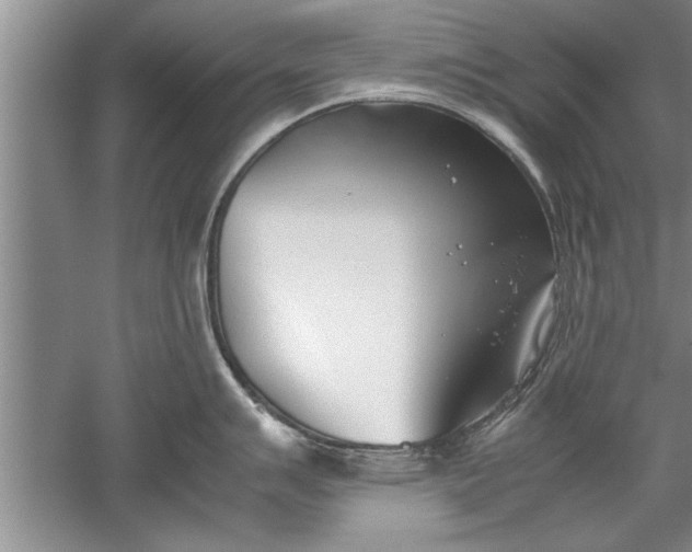 X0000052551007200507152155