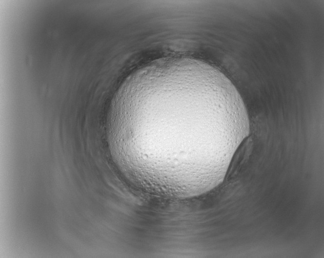 X0000052551009200507152154