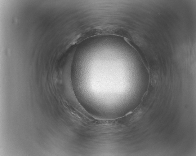 X0000052551010200507152154