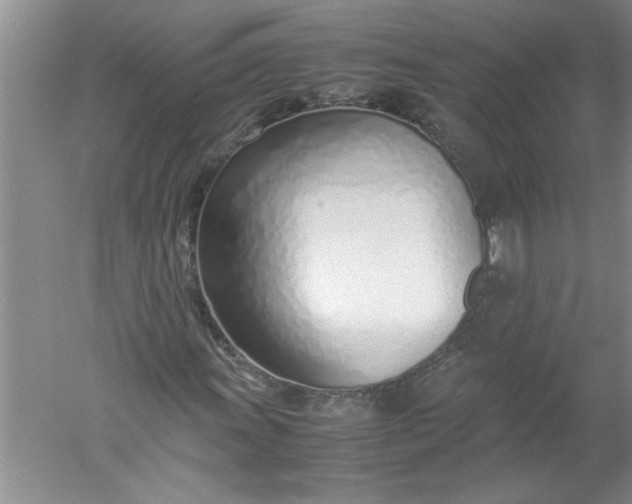 X0000052551011200507152154