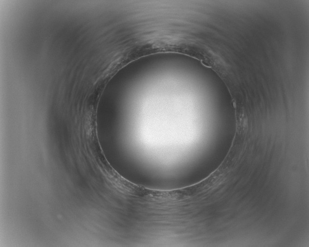 X0000052551012200507152154