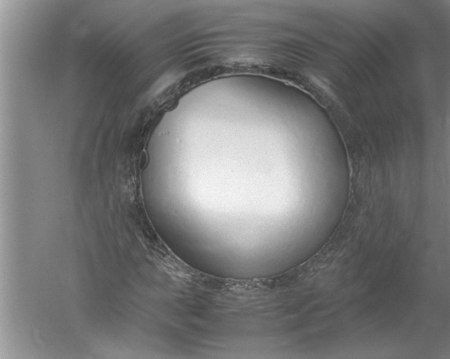 X0000052551015200507152154