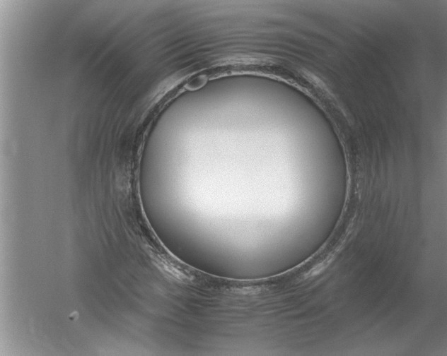 X0000052551017200507152154