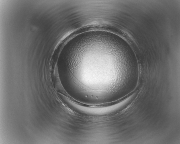 X0000052551018200507152154