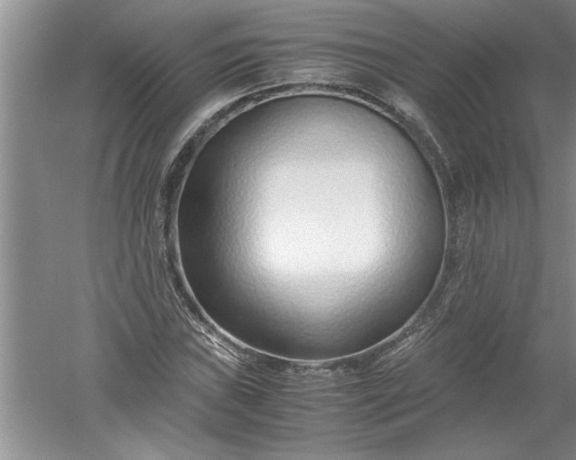 X0000052551019200507152154