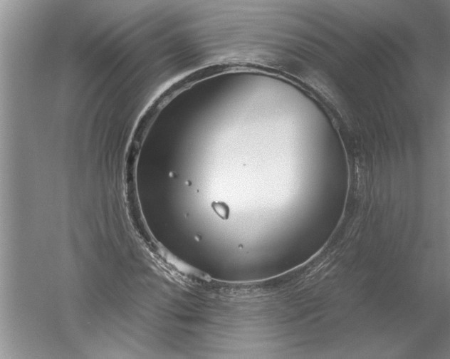 X0000052551020200507152154