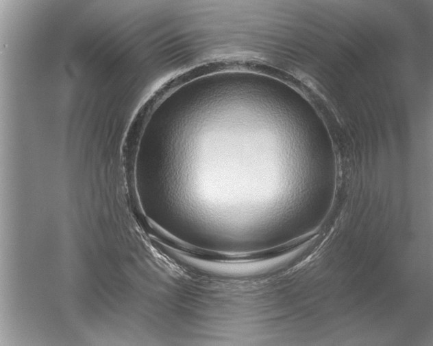 X0000052551022200507152154