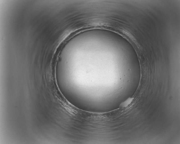 X0000052551023200507152154