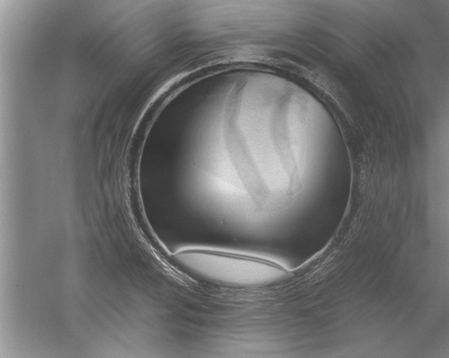 X0000052551024200507152154