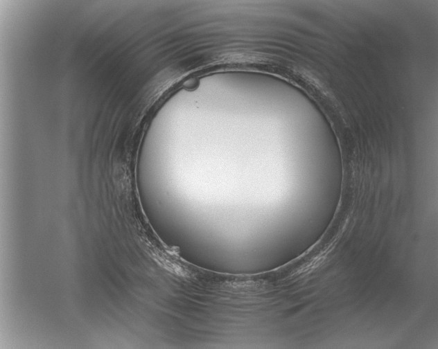 X0000052551025200507152154