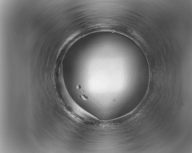 X0000052551026200507152154