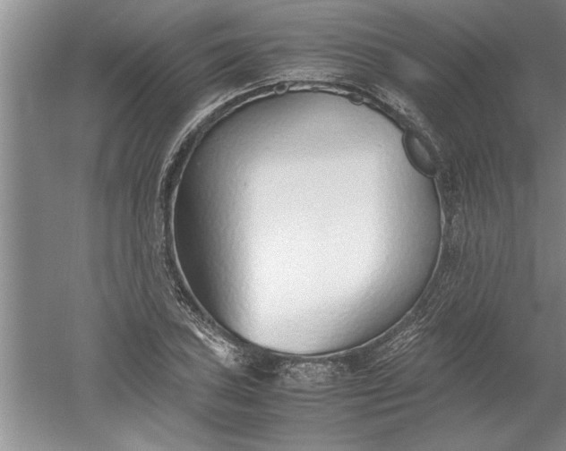 X0000052551027200507152154