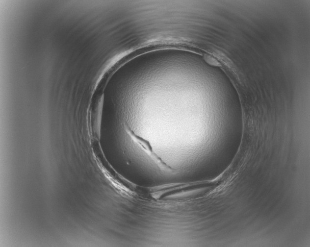 X0000052551030200507152154