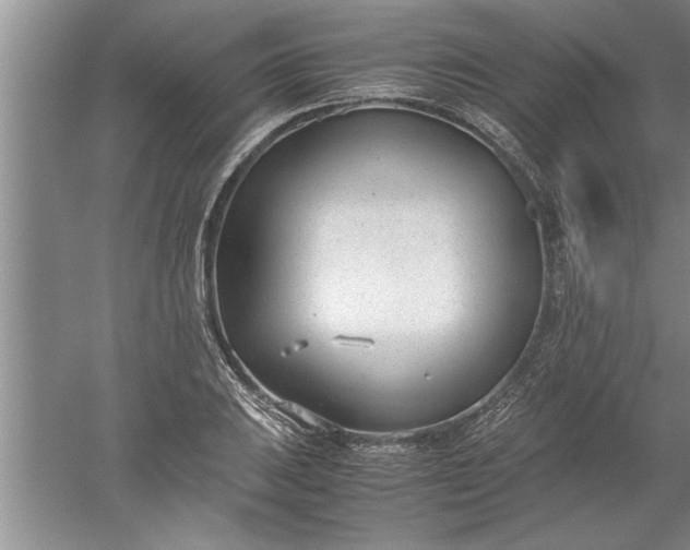 X0000052551031200507152154